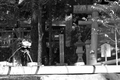 Colorless Tetsu Shirahashi and His Years of Pilgrimage 2013 #003.