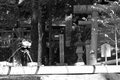 Colorless Tetsu Shirahashi and His Years of Pilgrimage 2013 #003.