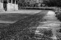 Life in A Day 20140502 - #002.